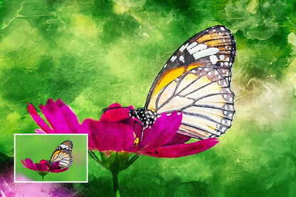 The Royal Bundle Of 21 Photoshop Templates - Photoboto