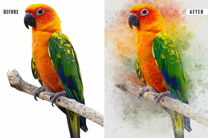22 Fluid Watercolor Photoshop Effects Collection