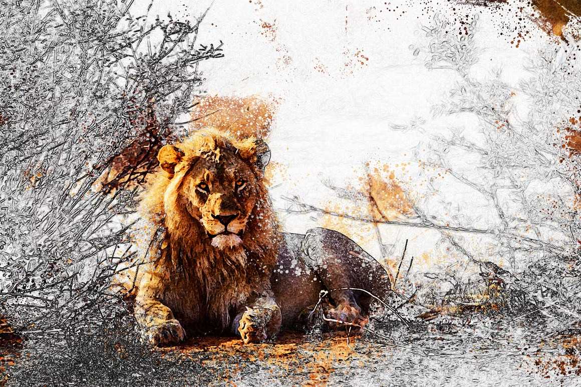 25-In-1 Bespoke Photoshop Actions Designer Set