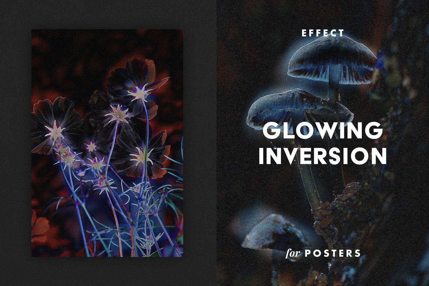 The Splendid Bundle Of 28 Poster+Portrait Effects - Photoboto