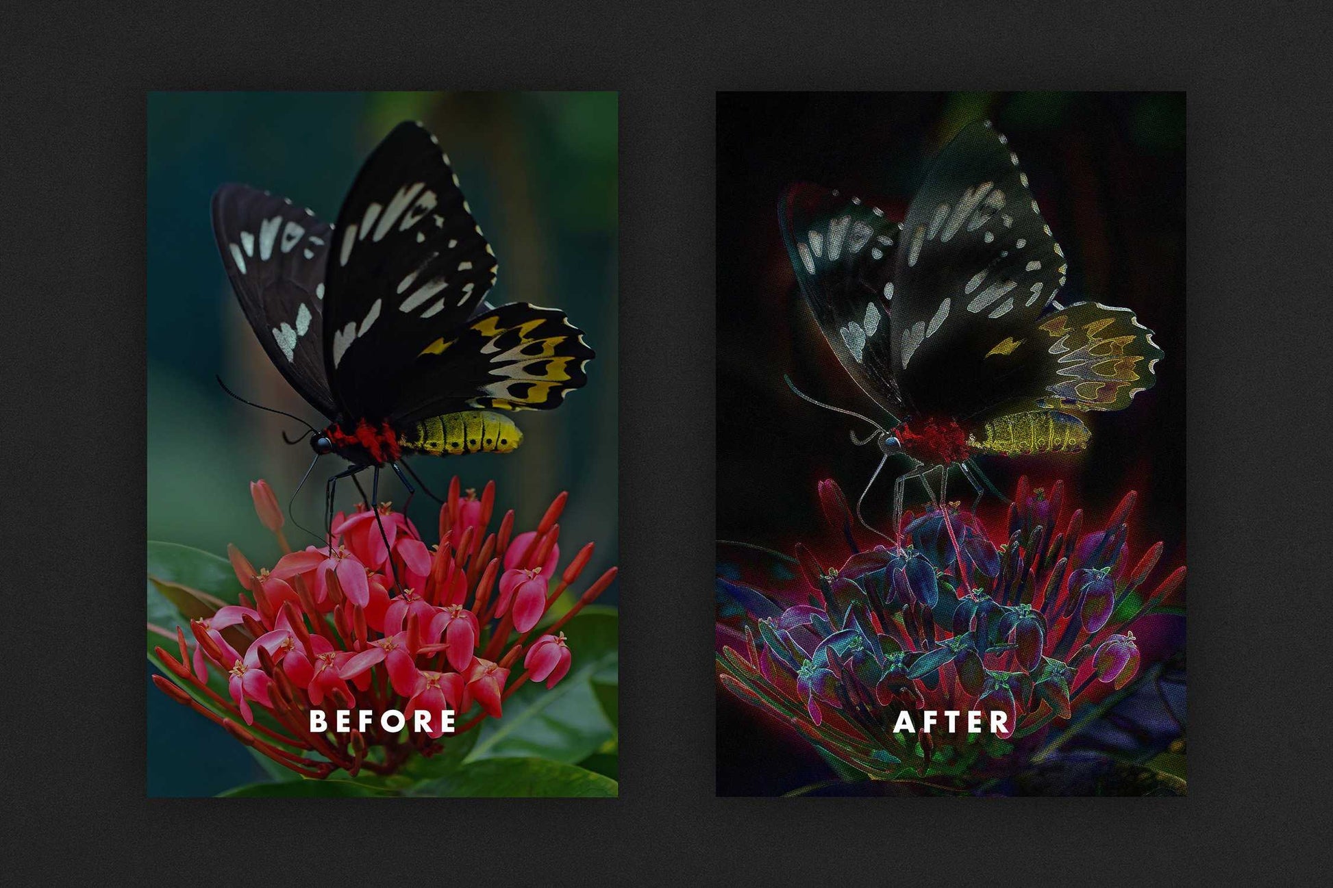 The Splendid Bundle Of 28 Poster+Portrait Effects - Photoboto
