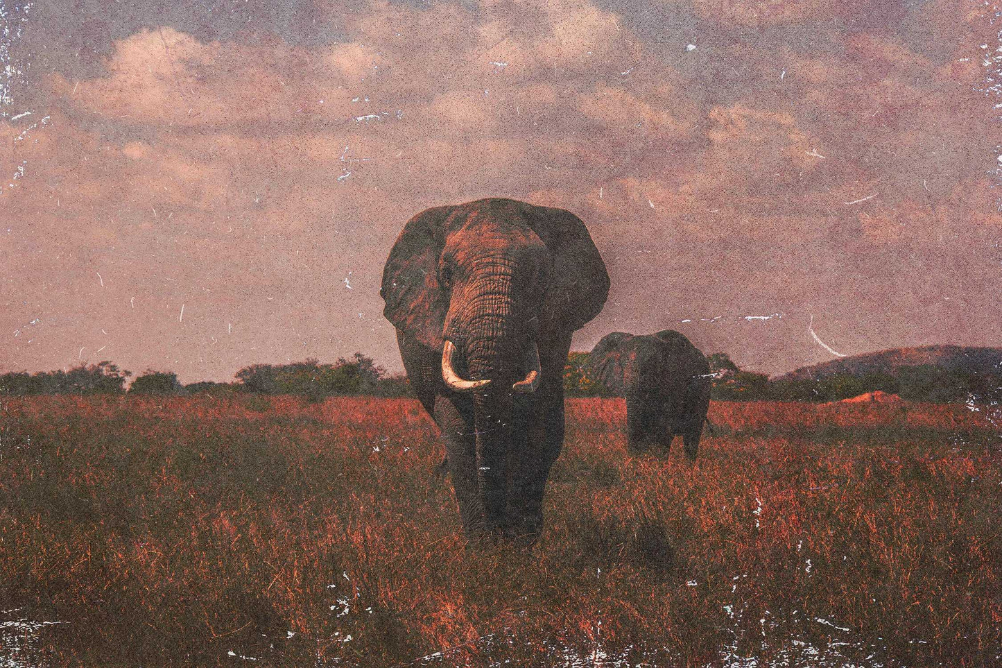 The Big Bundle Of 29 Photoshop Effects - Photoboto