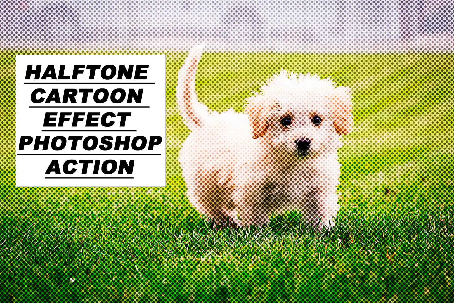 16 Amazing Cartoon Photoshop Actions Bundle - Photoboto